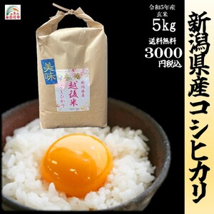 送料無料! 令和5年産　新潟県産コシヒカリ　玄米　５ｋｇ