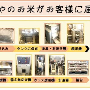令和5年産 新潟県産 コシヒカリ 玄米30kg うまい米 米専門 みのりや ポイント消化 送料無料の画像9
