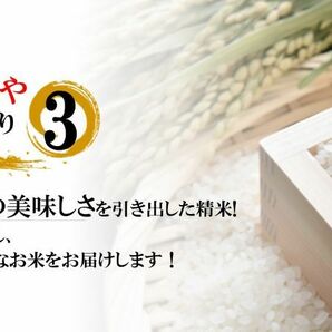 令和5年産 新潟県産 コシヒカリ 玄米30kg うまい米 米専門 みのりや ポイント消化 送料無料の画像5