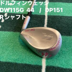 ドルフィンウェッジ　DW115G 44度　カーボンシャフト　フレックスR