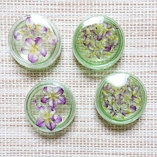 237《小物入れ》4個 ドライフラワー レジン ハンドメイド グリーン ネジ蓋 蓋付き コスメ 化粧品 小分け