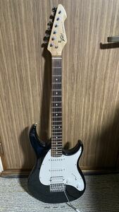 PEAVEY RAPTOR PLUS ピーヴィー　ラプタープラス　