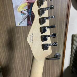 PEAVEY RAPTOR PLUS ピーヴィー ラプタープラス の画像6