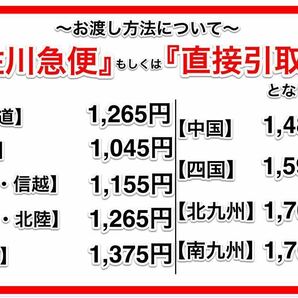 岩手 実動 現状 売切り アルフレッサ 日商式吸入用コンプレッサー(3) 100V 吸入 農機具村 ヤフオク店の画像10