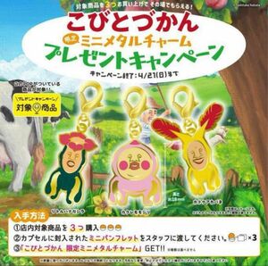 こびとずかん　メタルチャーム　非売品