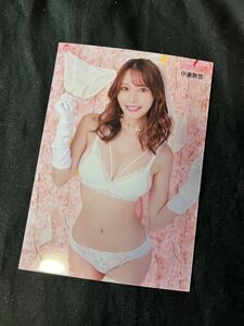 伊藤舞雪 FANZA SHOP TOKYO ショップ限定 生写真① 春のパンツ祭り2024