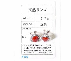 Z-96☆K14WG 赤サンゴ イヤリング 日本宝石科学協会ソーティング付き