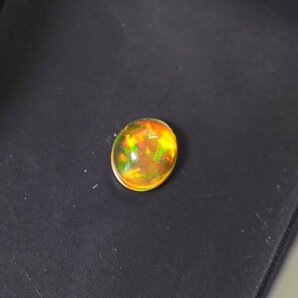 Y-69☆ルース ファイヤーオパール 1.480ct 日本宝石科学協会ソーティング付きの画像1