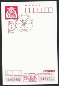 小型印 jca353 第３回信州はがきびとの集いｉｎ渋温泉 渋温泉 平成27年4月4日