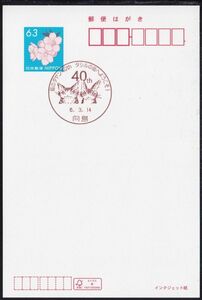 小型印 jca1070 猫のダヤン40th タシルの街へようこそ！ 向島 令和6年3月14日