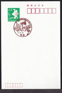 小型印 jca965 第11回世界の植物切手展 豊島 令和4年6月25日