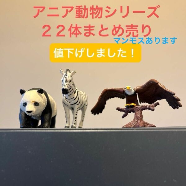 《値下げ》アニア 動物 まとめ売り 22体15セット