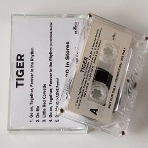 【プロモ カセットテープ】TIGER/GO ON, TOGETHER, FOREVER IN THE RHYTHM/DO ME/DJ HAZIME/DJ SPINNA スピナ/非売品/NOT FOR SALE/2000年