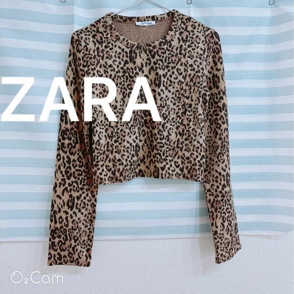 【ZARA ザラ 】長袖Tシャツ ヒョウ柄 ニット