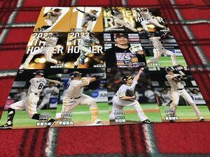 2024 第1弾 ソフトバンクホークス 全12種 12枚 カルビー プロ野球チップス 中村 有原 近藤 柳田 周東 石川 今宮 牧原 甲斐 和田 栗原