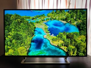 TOSHIBA REGZA 東芝 テレビ 4K 50Z9X タイムシフト