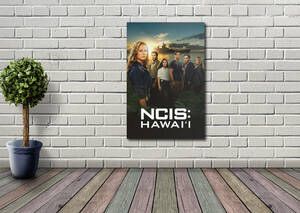 新品 NCIS HAWAII タペストリー ポスター /218/ 映画ポスター 壁 ガレージ装飾 フラッグ バナー 看板 旗 ポスター 