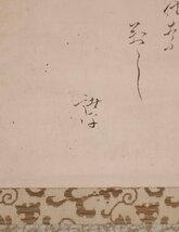 【模写】吉】10545 岩瀬広隆 加納諸平 白蔵主画賛 菱川清春 浮世絵師 大和絵 紀伊藩 和歌山藩 書家 茶掛け 茶道具 和歌 物語絵 掛軸 掛け軸_画像6