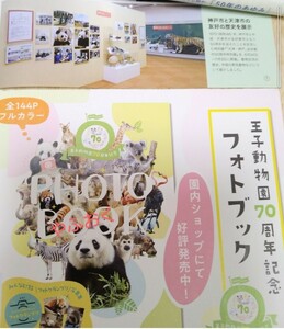 神戸 王子動物園 タンタン■神戸市と天津市の友好の歴史を展示 Habataki 記事■フォトブック フライヤー