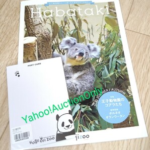 神戸 王子動物園 タンタン■ポストカード☆コアラ シャイニー表紙 Habataki 2022■モフモフ フワフワ パンダ キリン 動物園 はがきの画像3
