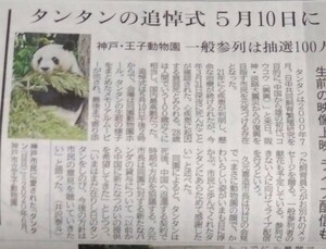 神戸 王子動物園 タンタン お別れ会 新聞記事 パンダ 旦旦 新聞 ジャイアントパンダ 