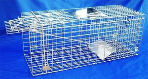 小動物用アニマルキャッチャー★Lサイズ 捕獲器 保護□■