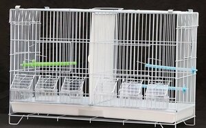 2部屋 ツイン鳥かご スクエアタイプ 鳥小屋 鳥カゴ 鳥 ゲージ ケージ バードケージ セキセイインコ 白■