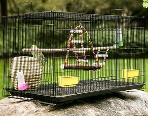 Lサイズ スクエアタイプ 鳥かご 【鳥小屋 鳥カゴ 鳥 ゲージ ケージ バードゲージ セキセイインコ】□▲