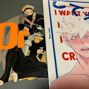 出勝 同人誌 ヒロアカ