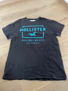 Hollister Co.(ホリスター)メンズ 半袖Tシャツ　Lサイズ