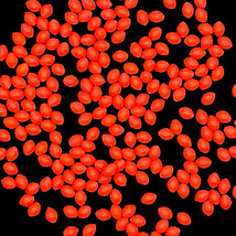 【釣増ビーズ】緑赤（ハード・大）40個　蓄光シモリ玉＜新品・送料込＞　(#23h)_画像5