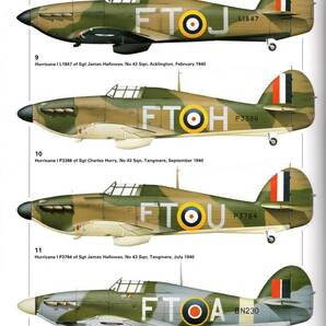 Osprey Aviation Elite #9-No. 43 Fighting Cocks Squadronの画像6