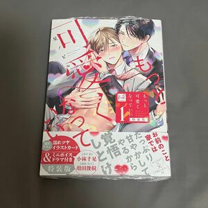 BL漫画　もっと可愛くなっていい 1 特装版　星ノビル