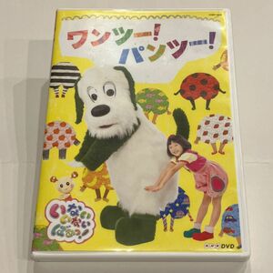 ワンツー！パンツー！ いないないばぁっ！ DVD