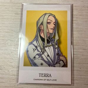 カリスマ トレーディング チェキ風カード vol.1 テラ