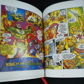 n-402 HE-MAN AND THE MASTERS OF THE UNIVERSE ミニコミック コレクション ダークホース アメコミ 漫画 作画集※10の画像7