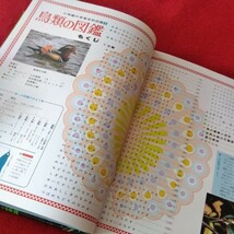 O-013　小学館の学習百科図鑑4 鳥類の図鑑　1992年6月10日第55刷発行　編集著作権所有・発行者/相賀徹夫　発行/小学館 ※10_画像5