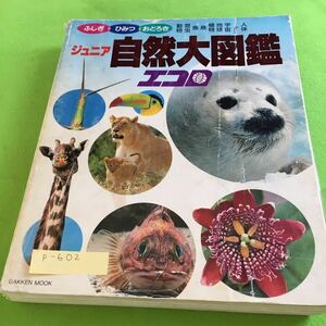 p-602 ふしぎ ひみつ おどろき ジュニア自然大図鑑 動物 昆虫 魚鳥 植物 地球 宇宙 人体 学研※10