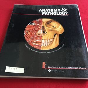 Q-220 ANATOMY & PATHOLOGY 解剖学と病理学 外国語書籍※10