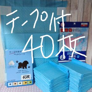 カテ変OK！新登場！ずれ防止シール付ペットシーツ40枚！超薄型レギュラーサイズ！