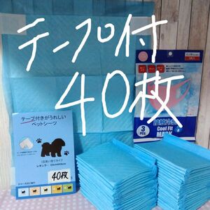 カテ変OK！新登場！ずれ防止シール付ペットシーツ40枚！超薄型レギュラーサイズ！