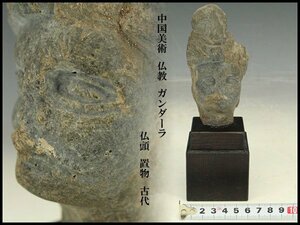 【銀閣】中国美術 仏教 ガンダーラ 仏頭 置物 古代 高8cm 旧家蔵出(N834)