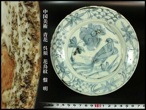 【金閣】中国美術 青花 呉須 花鳥紋 盤 φ16.5cm 明 旧家蔵出(YC187)