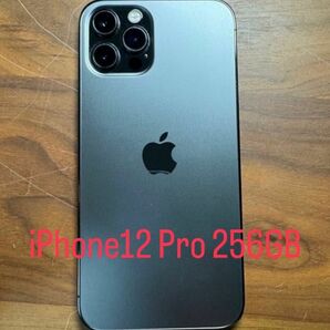 iPhone12Pro 256GB