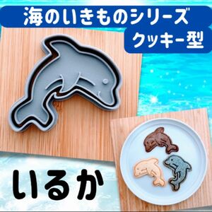 クッキー型　イルカ　いるか　動物　マリン　海のいきもの　型抜き　海　水族館　型抜 クッキーカッター クッキー型