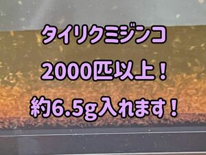 ネコポス！タイリクミジンコ2000匹以上！約6.5g