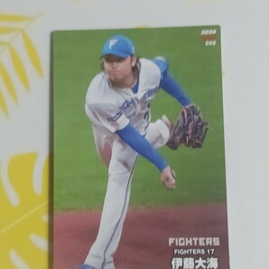 エラーカード2024プロ野球チップス第1弾 レギュラーカード 伊藤大海(日本ハムファイターズ）の画像1