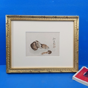 Art hand Auction ¡Eche un vistazo a la imagen de Hiromitsu Nakazawa enmarcada con la firma del hongo Matsutake en acuarela! [Trabajo auténtico], cuadro, acuarela, pintura de naturaleza muerta