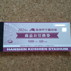 阪神甲子園球場 商品引換券 3万円分 