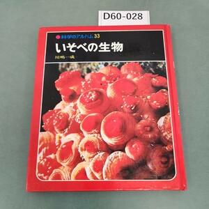 D60-028　科学のアルバム33いそべの生物川嶋一成